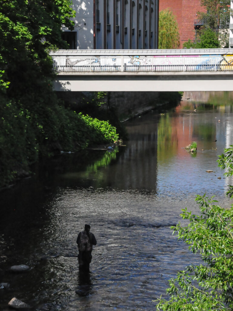 Ein Mensch angelt mitten in der Chemnitz, die durch die Stadt fließt.